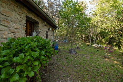 Villa i Viana do Castelo, Viana do Castelo, Viana do Castelo - € 390.000 | Ref: 1059 - Moradia no centro de Covas - foto 8