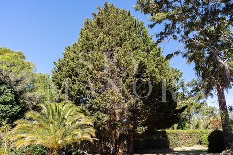 Villa i Carvoeiro, Faro, Carvoeiro - € 1.475.000 | Ref: Spy-00160 - foto 8