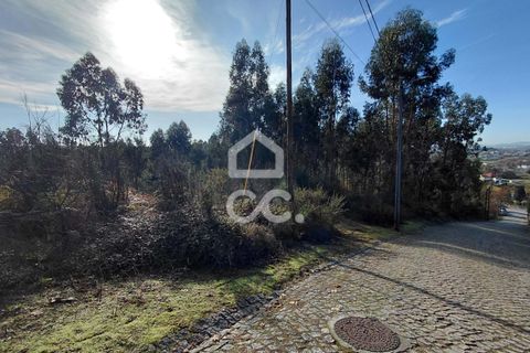 Helårsgrund i Lousada, Porto, Lousada - € 295.000 | Ref: 365/T/03252 - foto 2