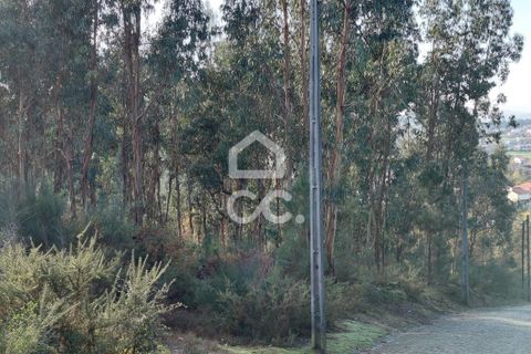 Helårsgrund i Lousada, Porto, Lousada - € 295.000 | Ref: 365/T/03252 - foto 3