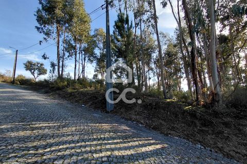 Helårsgrund i Lousada, Porto, Lousada - € 295.000 | Ref: 365/T/03252 - foto 8