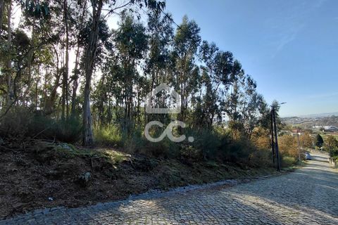 Helårsgrund i Lousada, Porto, Lousada - € 295.000 | Ref: 365/T/03252 - foto 9