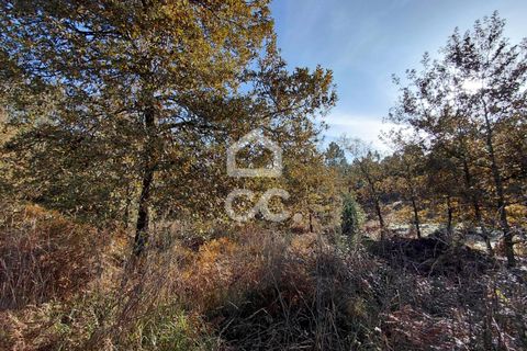 Helårsgrund i Lousada, Porto, Lousada - € 295.000 | Ref: 365/T/03252 - foto 12
