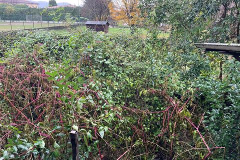 Landejendom i Mazzano, Brescia, Mazzano - € 125.000 | Ref: 2790 - foto 8