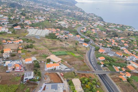 Helårsgrund i Calheta, Madeira, Calheta - € 160.000 | Ref: 071964 - foto 11