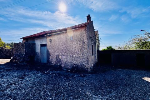 Villa i Tomar, Santarem, Tomar - € 170.000 | Ref: TL071 - foto 3