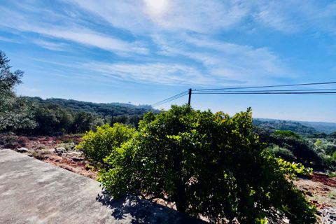 Villa i Tomar, Santarem, Tomar - € 170.000 | Ref: TL071 - foto 15