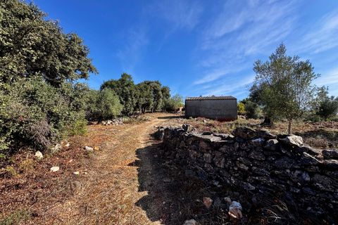 Villa i Tomar, Santarem, Tomar - € 170.000 | Ref: TL071 - foto 19