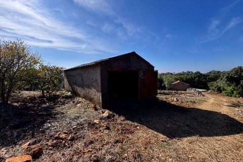 Villa i Tomar, Santarem, Tomar - € 170.000 | Ref: TL071 - foto 24