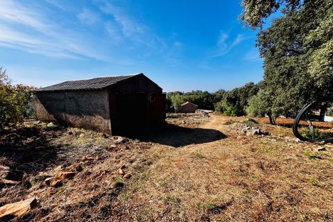 Villa i Tomar, Santarem, Tomar - € 170.000 | Ref: TL071 - foto 25