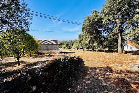 Villa i Tomar, Santarem, Tomar - € 170.000 | Ref: TL071 - foto 26