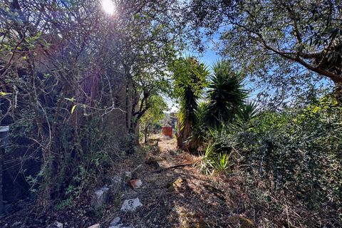 Villa i Tomar, Santarem, Tomar - € 170.000 | Ref: TL071 - foto 27