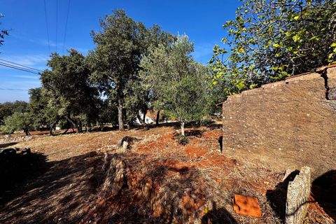 Villa i Tomar, Santarem, Tomar - € 170.000 | Ref: TL071 - foto 28