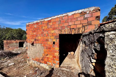 Villa i Tomar, Santarem, Tomar - € 170.000 | Ref: TL071 - foto 32