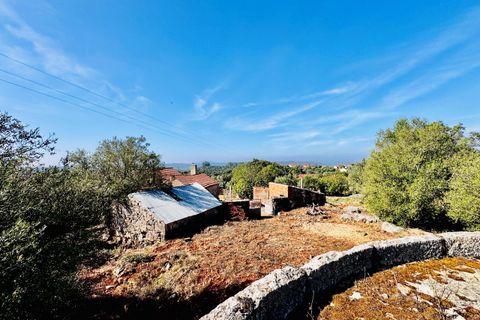 Villa i Tomar, Santarem, Tomar - € 170.000 | Ref: TL071 - foto 38