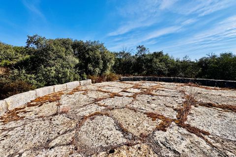 Villa i Tomar, Santarem, Tomar - € 170.000 | Ref: TL071 - foto 39