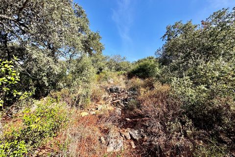 Villa i Tomar, Santarem, Tomar - € 170.000 | Ref: TL071 - foto 40