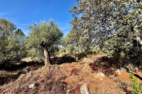 Villa i Tomar, Santarem, Tomar - € 170.000 | Ref: TL071 - foto 41