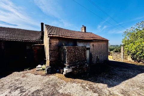 Villa i Tomar, Santarem, Tomar - € 170.000 | Ref: TL071 - foto 42