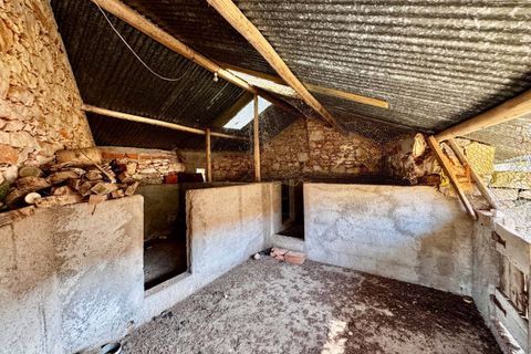 Villa i Tomar, Santarem, Tomar - € 170.000 | Ref: TL071 - foto 43