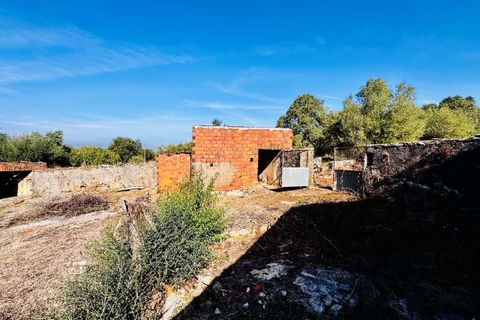 Villa i Tomar, Santarem, Tomar - € 170.000 | Ref: TL071 - foto 45