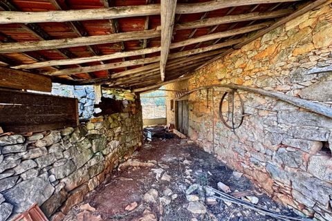 Villa i Tomar, Santarem, Tomar - € 170.000 | Ref: TL071 - foto 46