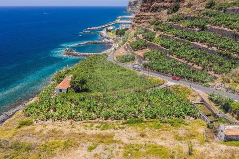 Villa i Calheta, Madeira, Calheta - € 5.500.000 | Ref: 123511098-149 - foto 2