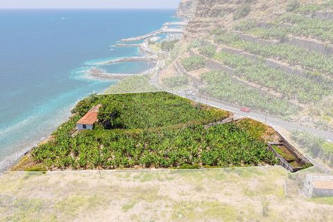 Villa i Calheta, Madeira, Calheta - € 5.500.000 | Ref: 123511098-149 - foto 3