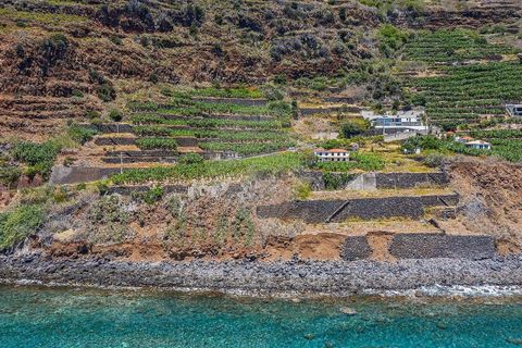Villa i Calheta, Madeira, Calheta - € 5.500.000 | Ref: 123511098-149 - foto 6