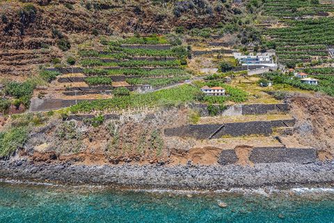 Villa i Calheta, Madeira, Calheta - € 5.500.000 | Ref: 123511098-149 - foto 7