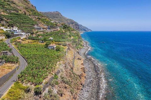 Villa i Calheta, Madeira, Calheta - € 5.500.000 | Ref: 123511098-149 - foto 8