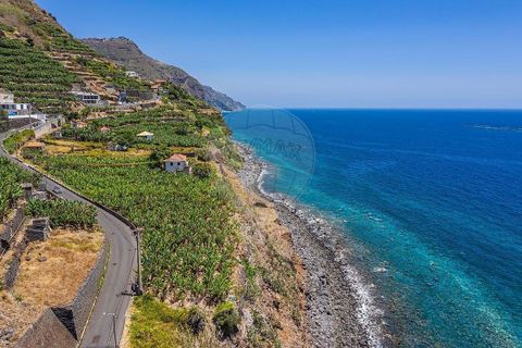 Villa i Calheta, Madeira, Calheta - € 5.500.000 | Ref: 123511098-149 - foto 9