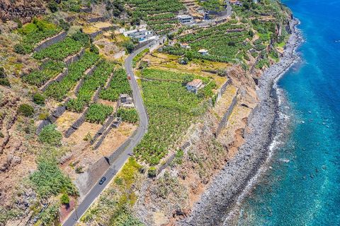 Villa i Calheta, Madeira, Calheta - € 5.500.000 | Ref: 123511098-149 - foto 16