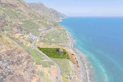 Villa i Calheta, Madeira, Calheta - € 5.500.000 | Ref: 123511098-149 - foto 17