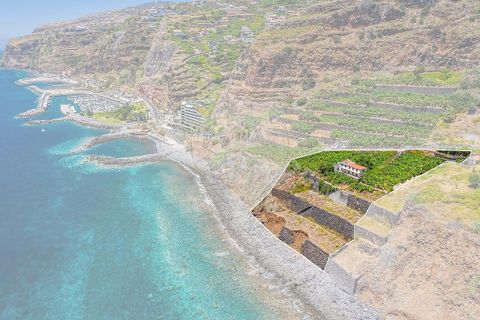 Villa i Calheta, Madeira, Calheta - € 5.500.000 | Ref: 123511098-149 - foto 22