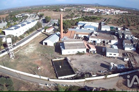 Terra a Moura, Beja, Moura - € 1.600.000 | Ref: 79198 - foto 2