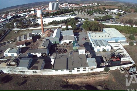Terra a Moura, Beja, Moura - € 1.600.000 | Ref: 79198 - foto 3