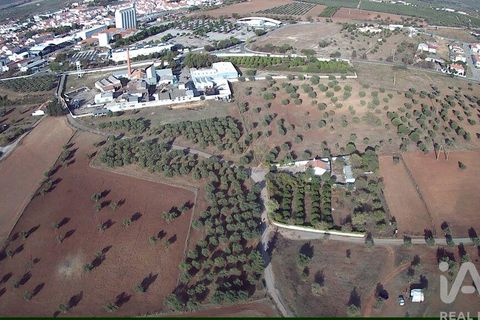 Terra a Moura, Beja, Moura - € 1.600.000 | Ref: 79198 - foto 4