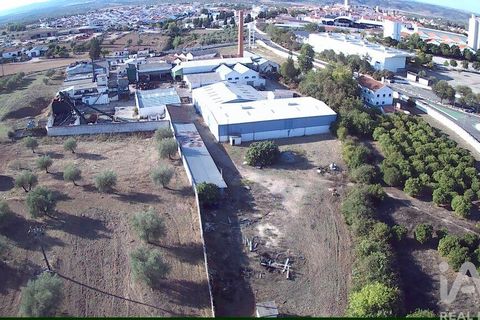 Terra a Moura, Beja, Moura - € 1.600.000 | Ref: 79198 - foto 5