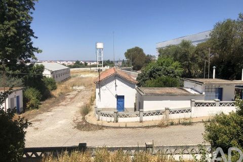 Terra a Moura, Beja, Moura - € 1.600.000 | Ref: 79198 - foto 7