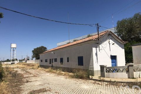 Terra a Moura, Beja, Moura - € 1.600.000 | Ref: 79198 - foto 10