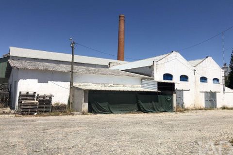 Terra a Moura, Beja, Moura - € 1.600.000 | Ref: 79198 - foto 11