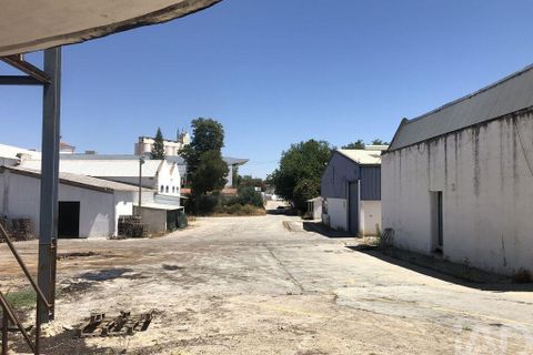 Terra a Moura, Beja, Moura - € 1.600.000 | Ref: 79198 - foto 12
