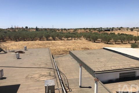 Terra a Moura, Beja, Moura - € 1.600.000 | Ref: 79198 - foto 13