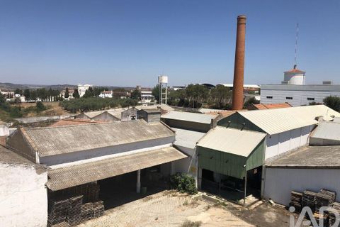 Terra a Moura, Beja, Moura - € 1.600.000 | Ref: 79198 - foto 14