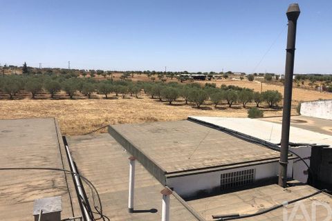 Terra a Moura, Beja, Moura - € 1.600.000 | Ref: 79198 - foto 15