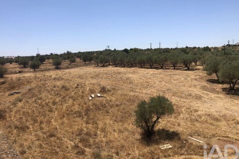Terra a Moura, Beja, Moura - € 1.600.000 | Ref: 79198 - foto 16