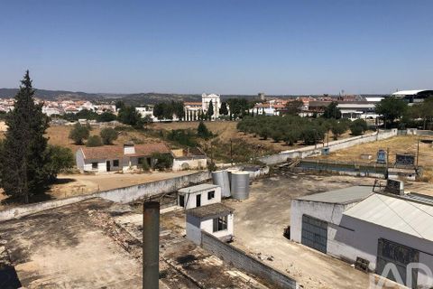 Terra a Moura, Beja, Moura - € 1.600.000 | Ref: 79198 - foto 17