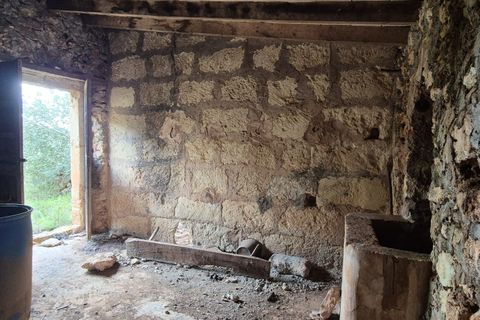 Terra a Costitx, Mallorca, Costitx - € 330.000 | Ref: 943 - foto 8
