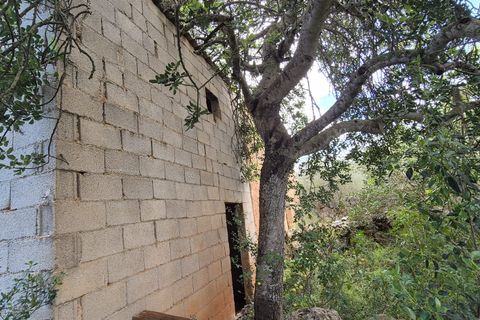 Terra a Costitx, Mallorca, Costitx - € 330.000 | Ref: 943 - foto 9